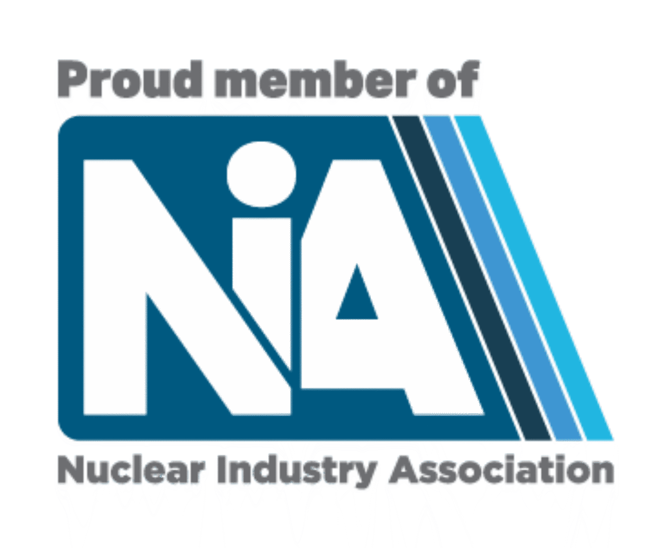 Member of nia logo 2025 transparent 1